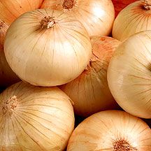 Healthy onion plants growing in a garden bed, showcasing lush green tops and thriving roots." Let me know if you'd like any changes!